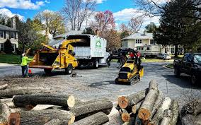 Best Tree and Shrub Care  in Salem, OR